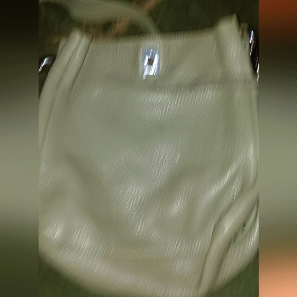 Olive green purse